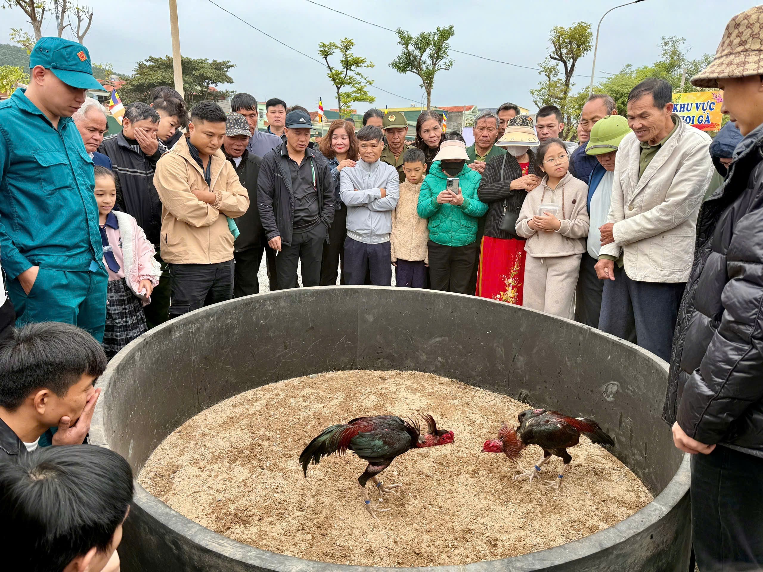 12-choi-ga-1767699744 12-choi-ga-1767699744.jpg