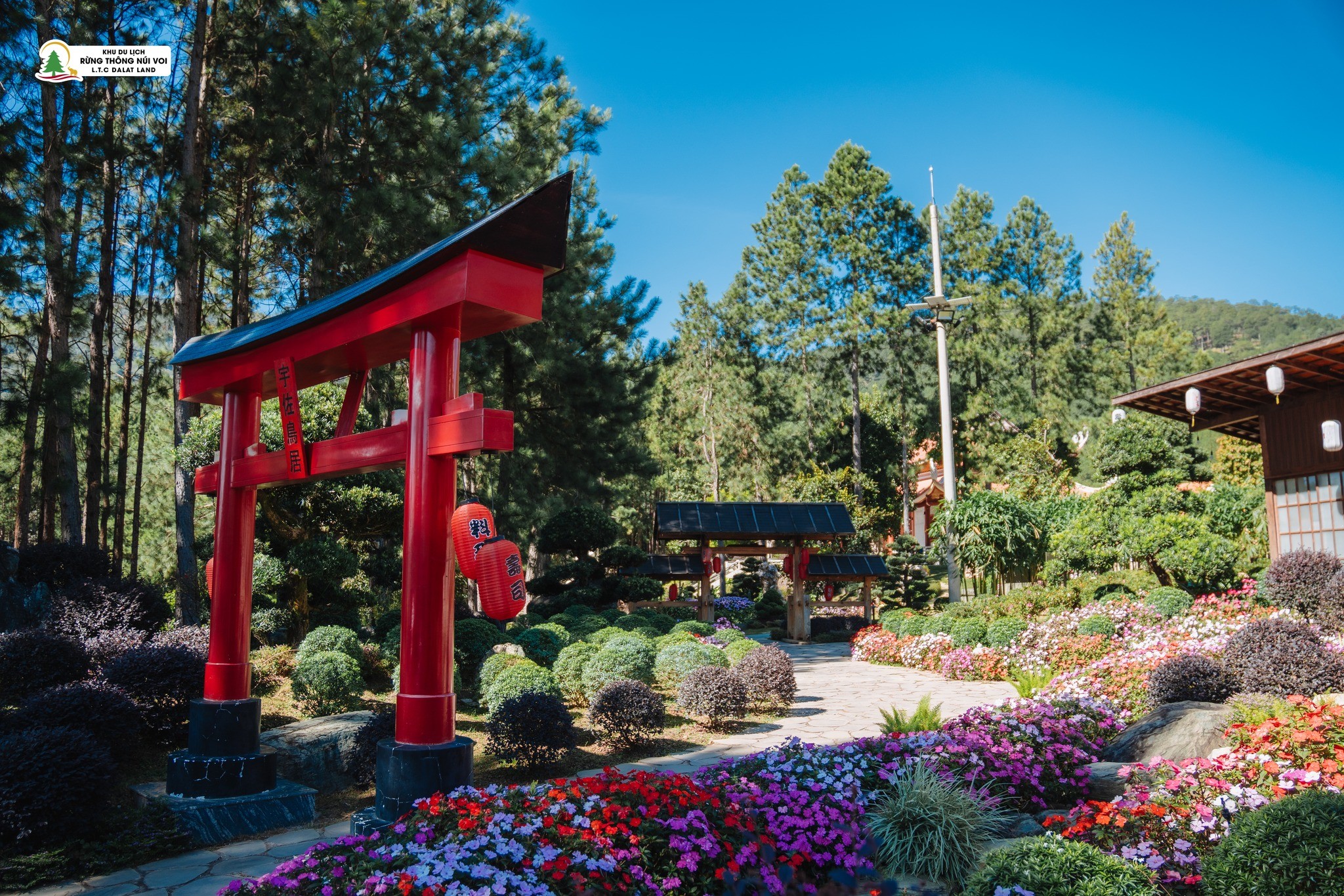 606354676-804503205952409-5407909124751950323-n-1769965646 606354676-804503205952409-5407909124751950323-n-1769965646.jpg