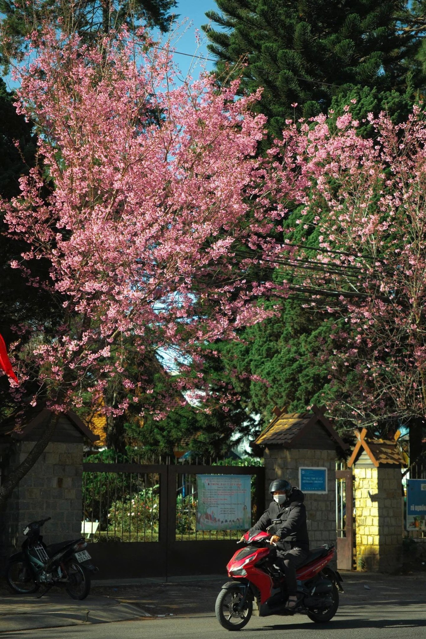 621602296-1448680076647795-1014977242243255341-n-1769918165 621602296-1448680076647795-1014977242243255341-n-1769918165.jpg