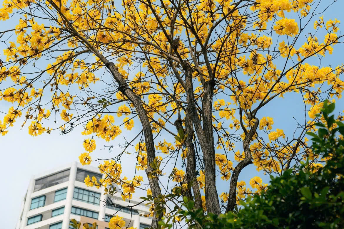 aaa-1772898360 aaa-1772898360.png