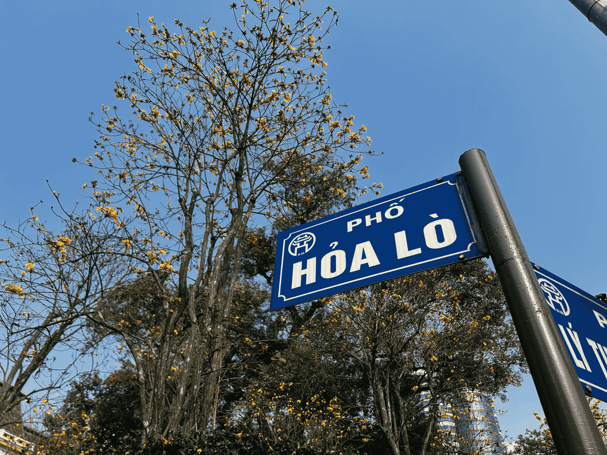 anh-5-1-1772900249 anh-5-1-1772900249.png