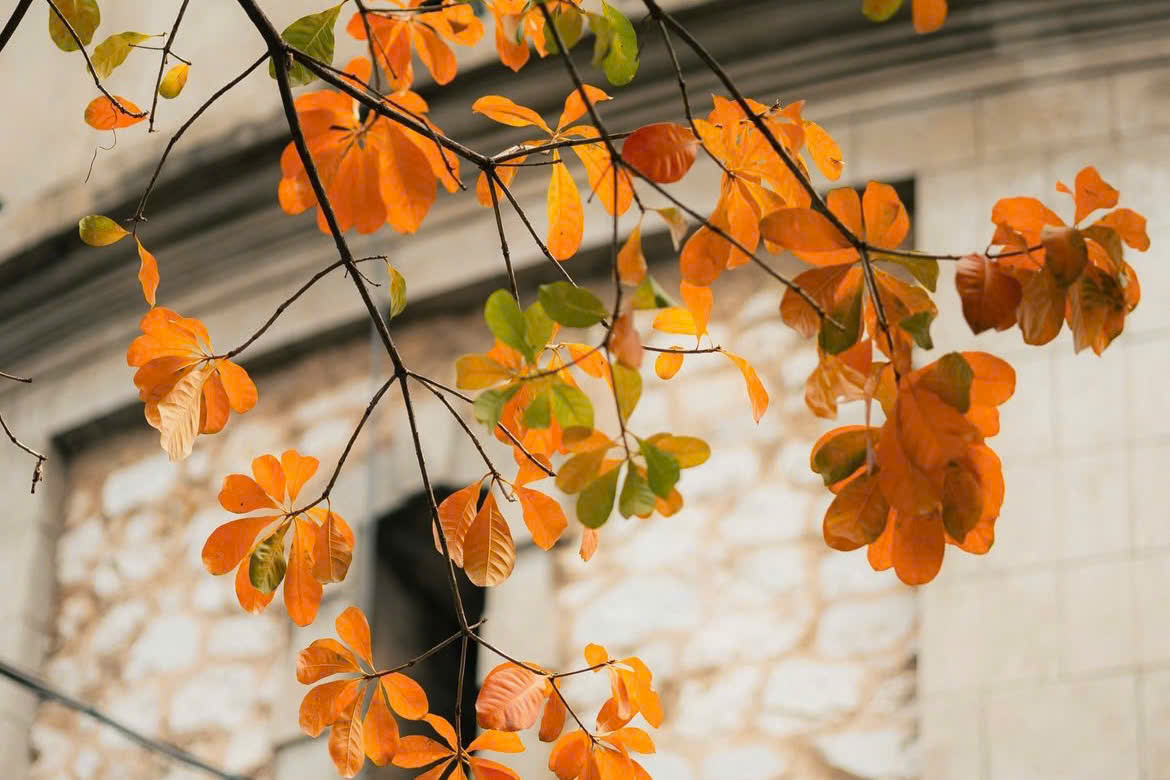 anhr-3-1772899005 anhr-3-1772899005.png