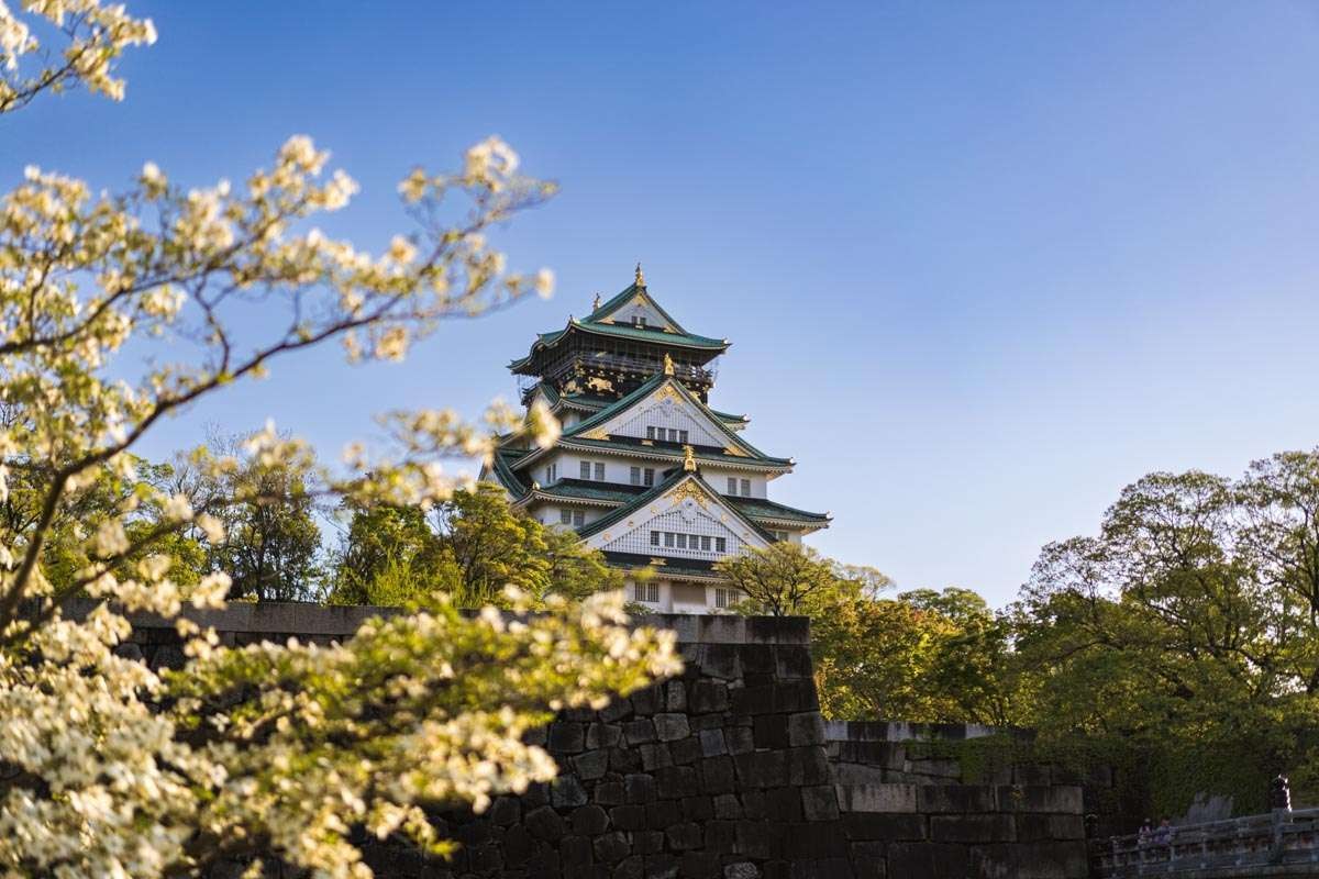 osaka-1769046826 osaka-1769046826.jpg