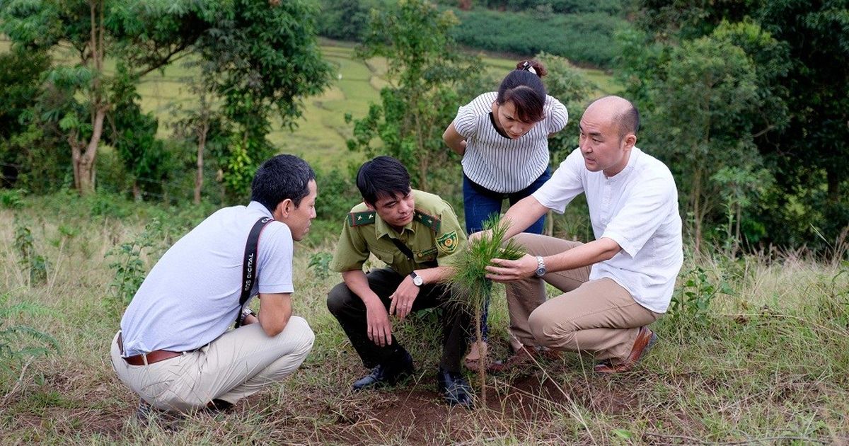Quỹ Khí hậu Xanh phê duyệt chi trả gần 72 triệu USD cho dự án giảm phát thải tại Việt Nam