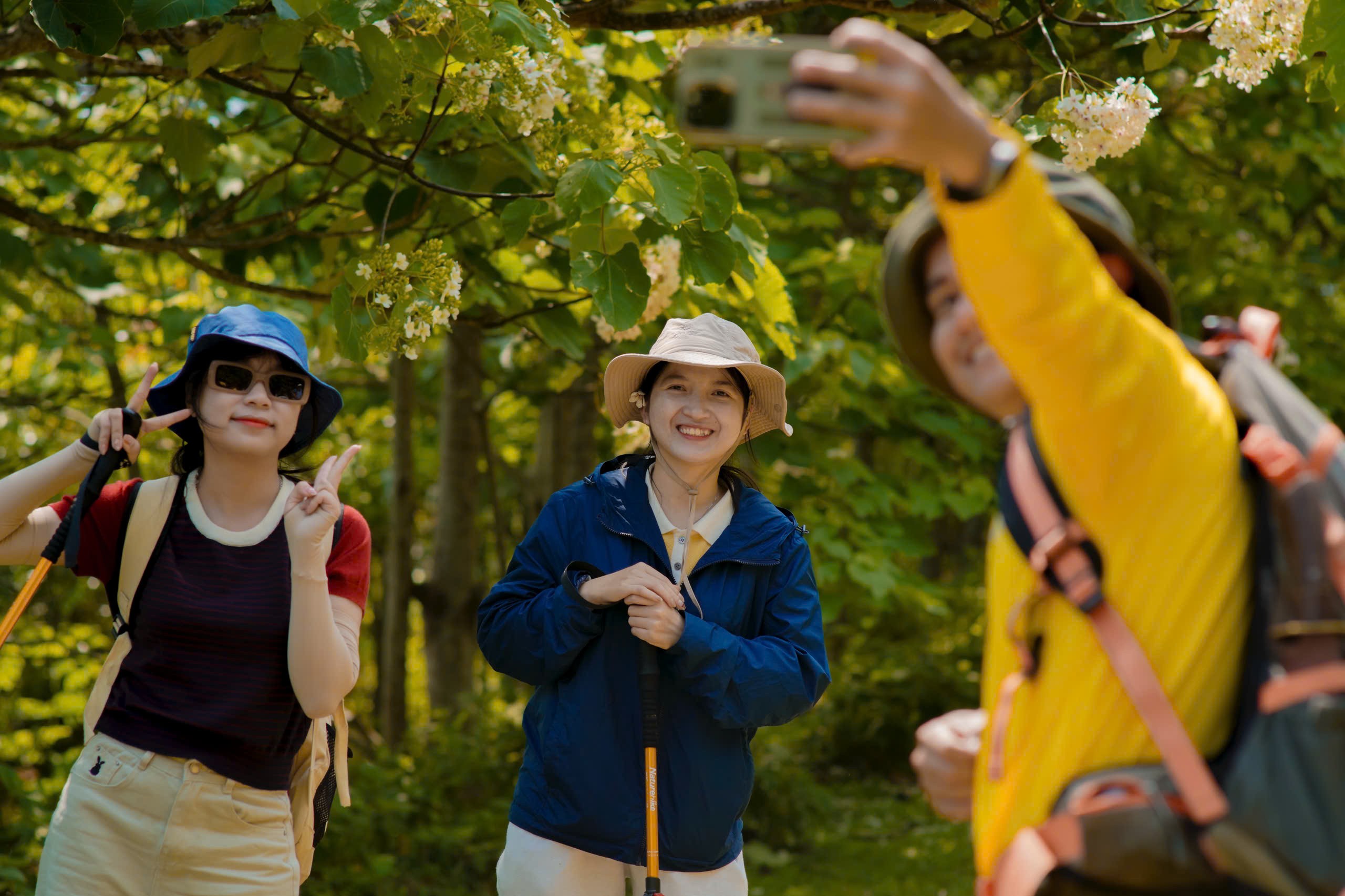 Vẻ đẹp dịu dàng mùa hoa trẩu giữa núi rừng Trường Sơn phía Tây tỉnh Quảng Trị