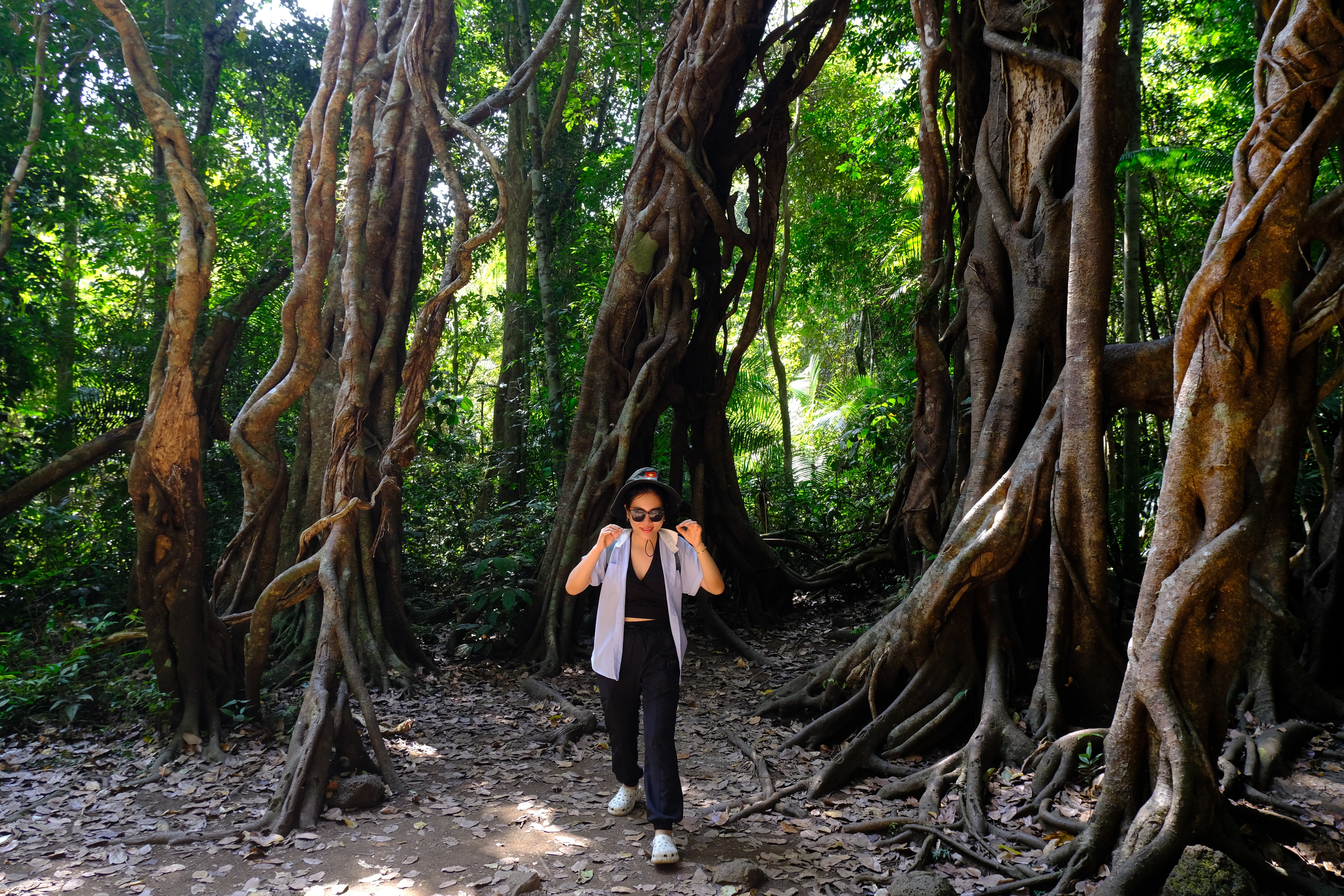 3-1772356932 3-1772356932.jpg