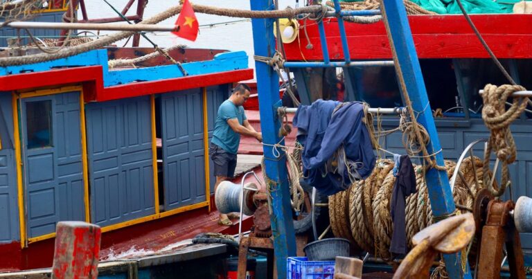 Nhịp mưu sinh bên cảng cá Tân Sơn