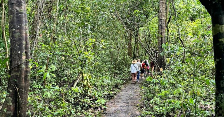 Gợi ý 7 trải nghiệm không thể bỏ lỡ ở Vườn quốc gia Cát Tiên