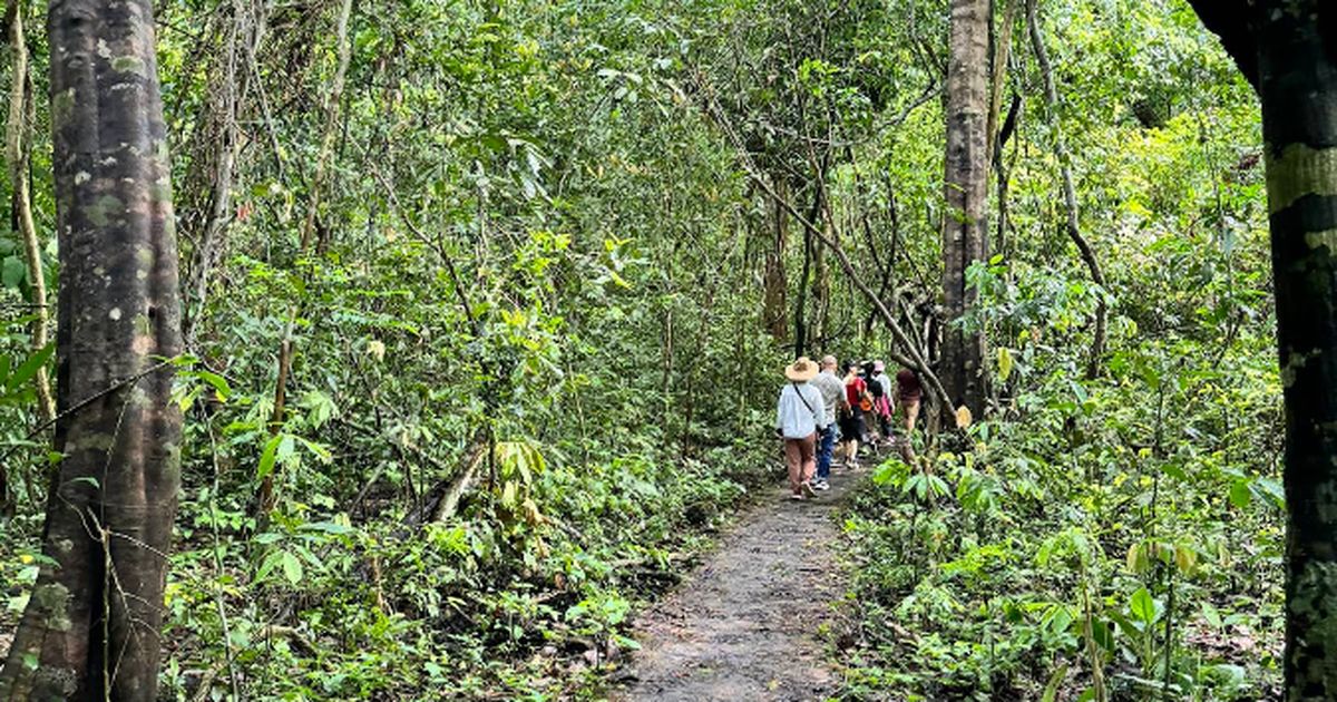 Gợi ý 7 trải nghiệm không thể bỏ lỡ ở Vườn quốc gia Cát Tiên