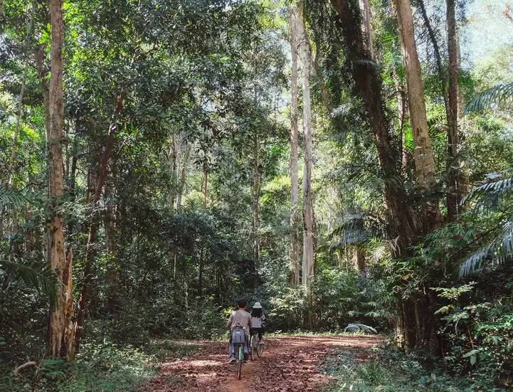 snapinsta-ai-3751150616493368336-1770950551 snapinsta-ai-3751150616493368336-1770950551.jpg