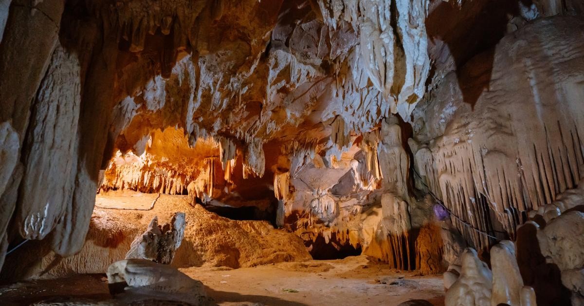 z7031968352508-2d13ee9f86ee7dfe77a274cefe7fa467-1775658446 z7031968352508-2d13ee9f86ee7dfe77a274cefe7fa467-1775658446.jpg